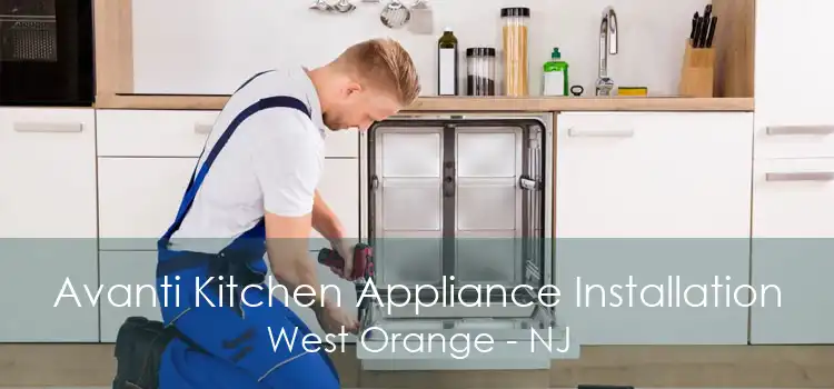 Avanti Kitchen Appliance Installation West Orange - NJ
