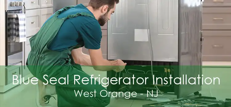 Blue Seal Refrigerator Installation West Orange - NJ
