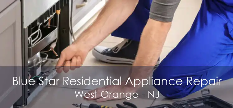 Blue Star Residential Appliance Repair West Orange - NJ