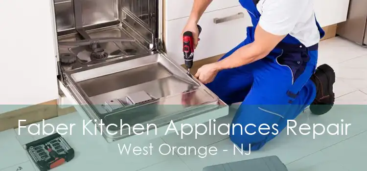 Faber Kitchen Appliances Repair West Orange - NJ