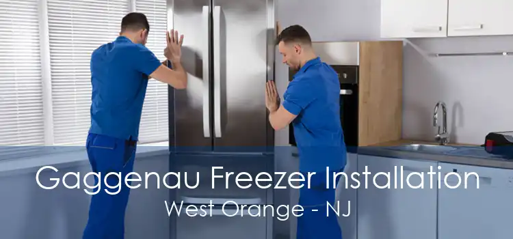 Gaggenau Freezer Installation West Orange - NJ